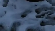 Zmultiplikowane Pozdrowienia (z nowej Ziemi)