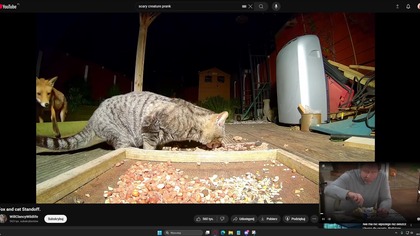 panie daj pan jednego