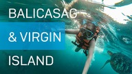 Filipiny  Balicasag i Virgin Island, czyli ile kosztuje island hopping i pływanie z żółwiami?