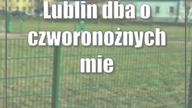 Lublin dba o czworonożnych mieszkańców.  Wkrótce kolejny wybieg