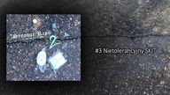 03.  Synowie Rapu - Nietolerancyjny SKIT (bit Marian) | 2014