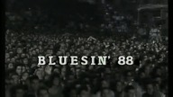Johnny Winter Pistoia blues 1988 Complete concert ( stereo)