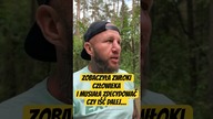 Zwłoki człowieka podczas zdobycia MOUNT EVEREST #shorts