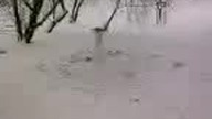 kill the snowman