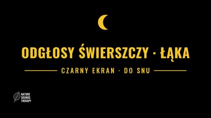 Odgłosy Świerszczy na Łące &middot; Do Snu, Czarny Ekran