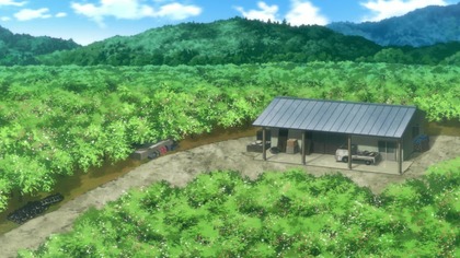 Flying Witch E10 Napisy PL