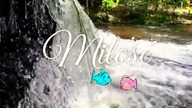 Wybierz Opcję  Karty wyroczni 