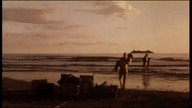 Zapach raju. Et Hj&oslash;rne af paradis. 1997. Lektor PL