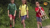 Kolorowe Trio Mój konik na biegunach