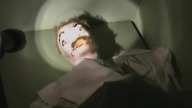 G&oacute;wniany horror - recenzja Bizarre Bunch