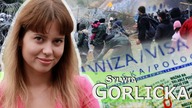 Imigranci za pieniądze, czy na zamówienie polityczne?