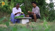 Potato Dum Biryani | Aloo Dum Biryani | Easy Restaurant Style Dum Aloo Biryani | Grandpa Kitchen