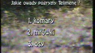 TVP1 - Urywek Polskiego Lata (02. 08. 1999?)