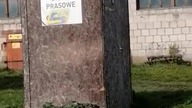 Biuro Prasowe