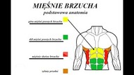 TRENING na mięśnie SKOŚNE BRZUCHA na Rotary Torso