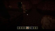 Ok, at least I can see how mobs in a different setting interact with each other #minecraft #gaming
