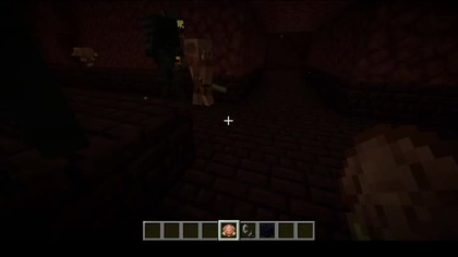 Ok, at least I can see how mobs in a different setting interact with each other #minecraft #gaming