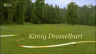 Król Drozdobrody (2008)