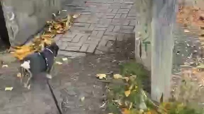 e6da4b10-a7d2-4a67-8521-febd66f92709