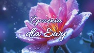 Dla Ciebie Ewo!  Wszystkiego Najlepszego!