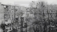 Trace of Light - Fall Apart