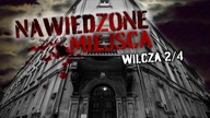 NAWIEDZONA KAMIENICA - Wilcza 2/4
