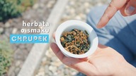 Herbata o smaku FLIPSÓW - Sticky Rice | Czajnikowy.pl