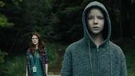 Morgan (2016)