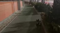 Zimno, ale w kurteczce.