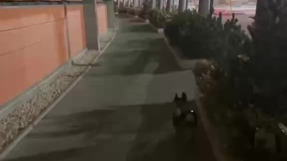 Zimno, ale w kurteczce.