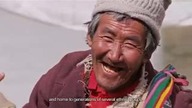 CHINY - DACH ŚWIATA - TOWARZYSZE ŻYCIA