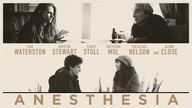 Anestezja (2015) [Lektor PL] - Anesthesia