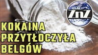 Belgia konfiskuje tyle kokainy, że nie może jej spalić