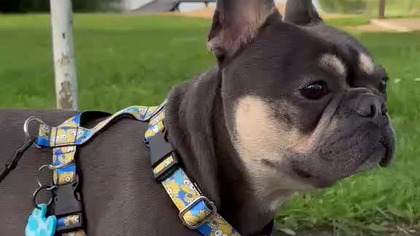 89d8a10b-a4da-4ed6-af0d-438f3bd0af52