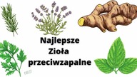 Najlepsze zioła przeciwzapalne - Na stawy, migreny oraz stany zapalne skóry