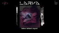 Larva - Bodies Without Organs