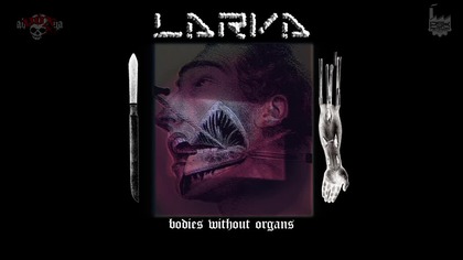 Larva - Bodies Without Organs