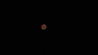 Nikon P1000 Star Zoom
