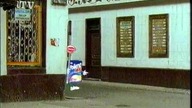 Pollena Rex - reklama proszku do prania, lata 90.