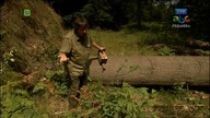 Przyjaciele lasu - odcinek 39 - Skutki nawałnic
