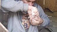 Białasek  #birds #fus #pigeon #egzotyka #golebie #pocztowe #loty