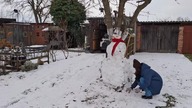 Zima * Poranny obchód w Garden kuRaż * 3. 01. 2026