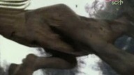 Zaginiony świat /The Lost World (1999)S01(Pilot 1) Lektor