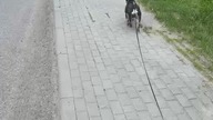 Wiosna, slowiki, kleszcze jak byki...