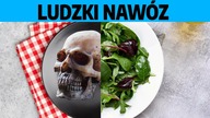 Kawałki zwłok w jedzeniu - produkcja ludzkiego nawozu to satanizm? | dr S.  Krajski