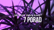 Jak kupić dobrą kawę? 7 PORAD. Czajnikowy.pl