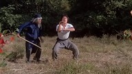 She xing diao shou (1978) Wąż i cień orła
