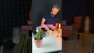 Rozgrzewająca matcha z imbirem, miodem i chilli  przepis z e-booka Czajnikowy.pl 