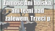 Zamość: Ani boiska, ani tężni nad zalewem.  Trzeci przetarg do kosza