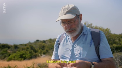 Jak koty stały stały się zwierzętami domowymi i podbiły świat